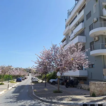 Iriana'S Apartments In Center Chania  Exterior photo